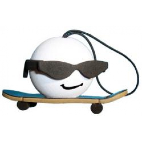 Cool Skateboarder Guy Antenna Topper