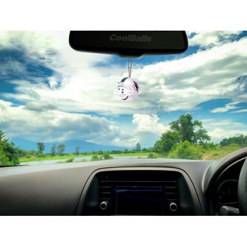 NFL Miami Dolphins Football Antenna Topper / Car Dashboard Buddy (Car  Accessory)